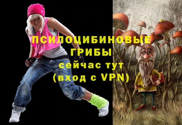 кокаин премиум Богородицк