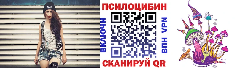 где продают   нарко площадка какой сайт  Псилоцибиновые грибы GOLDEN TEACHER  Киселёвск 